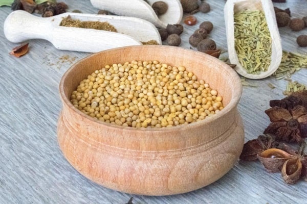 Культура для олії та приправ