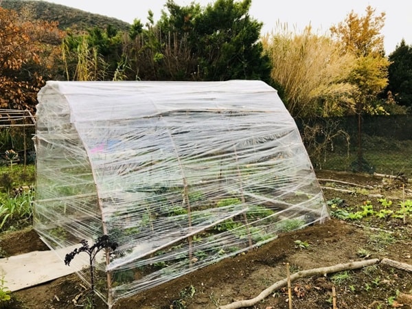 Матеріали скління теплиці