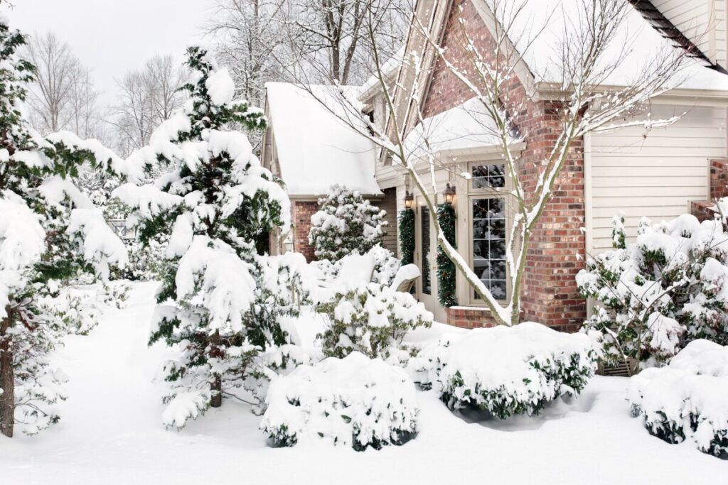 Роботи на городі взимку: що робити на дачі?