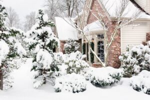 Роботи на городі взимку: що робити на дачі?