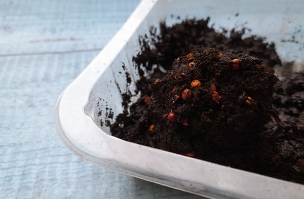 Стратифікація в торфі