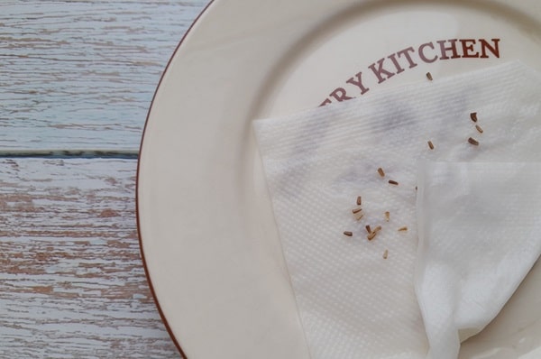 Замочування в паперових серветках