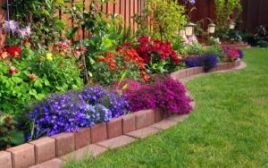 Чим обробити квітник після зими?