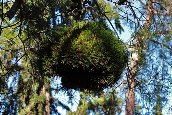 Наочні приклади