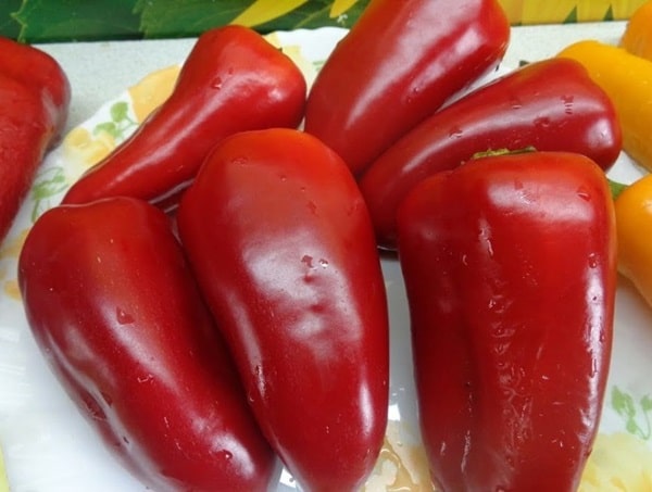 Перець &laquo;Медаль&raquo;