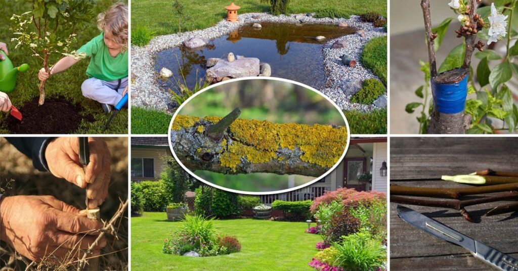 Весняні роботи на городі: список важливих робіт.