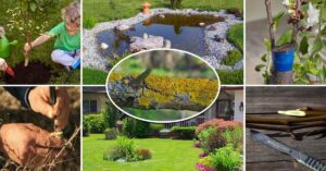 Весняні роботи на городі: список важливих робіт.