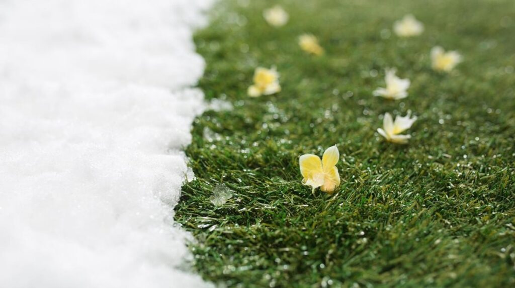 Запах весни: як визначити прихід тепла за народними прикметами?