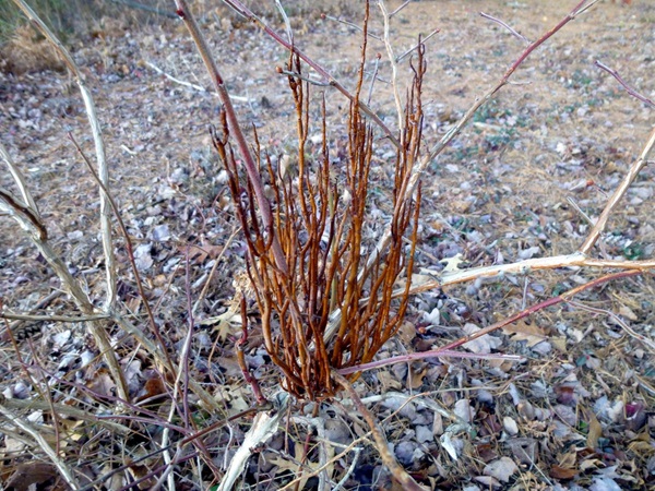 Запобіжні заходи