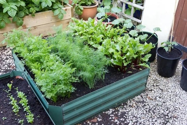 Огорожа для грядки з металу