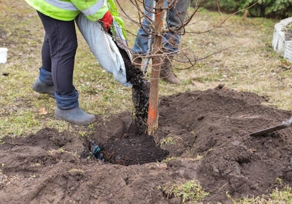 Азотні добрива