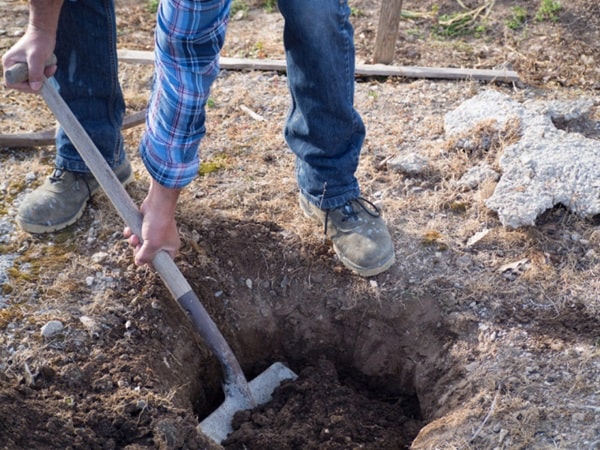 Чоловік використовує лопату для копання ями в землі