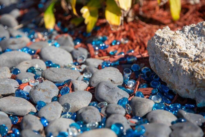 Чим не варто мульчувати ягідники восени?