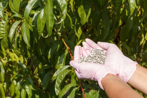 Калійні добрива