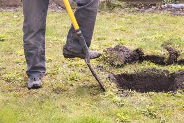 Підготовка посадкових ям
