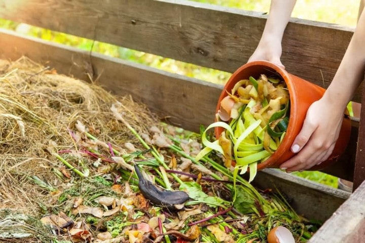 Жінка кладе компост у дерев'яний контейнер
