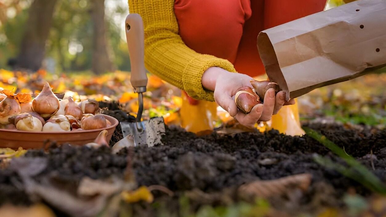 Листопадова дача без садового інвентарю: 7 робіт, які можна зробити руками.