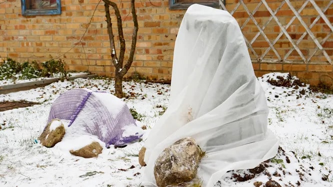 Міф 5. «Сніг — найкраще укриття»