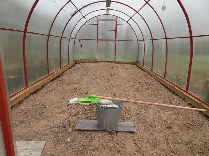 Миття теплиці — не просто «чистота», а захист врожаю