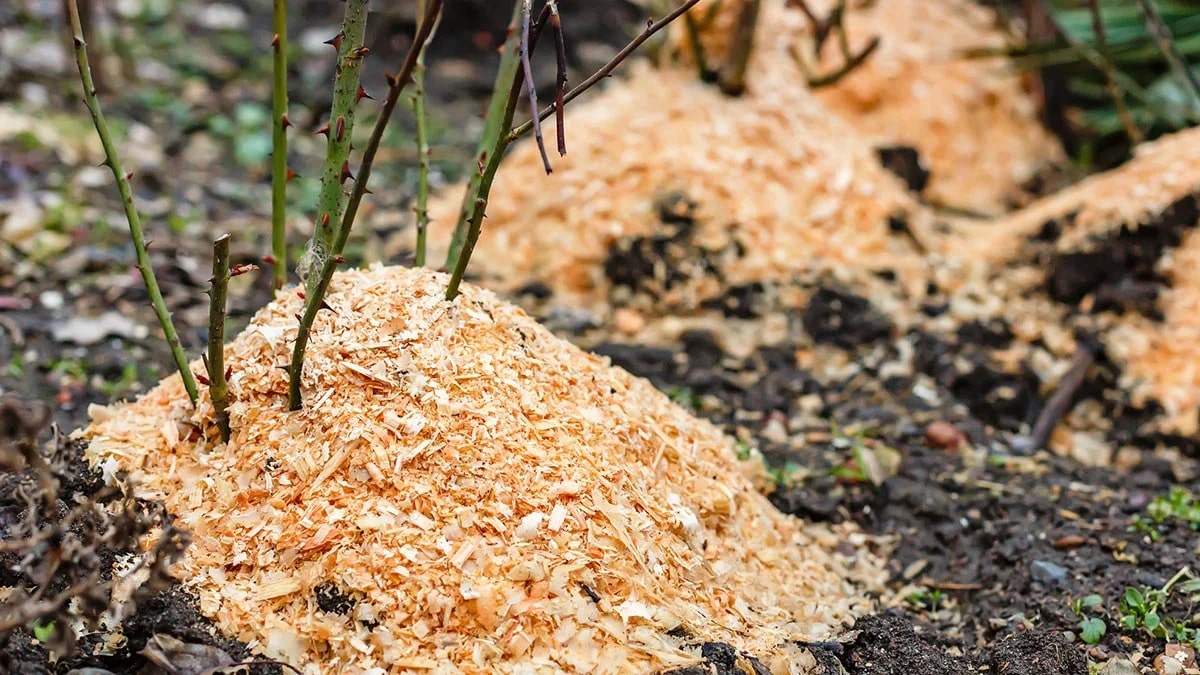 Плюси і мінуси найпопулярніших матеріалів для укриття рослин на зиму.